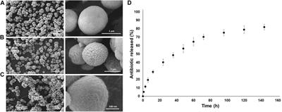 Characterization of the Shells in Layer-By-Layer Nanofunctionalized Particles: A Computational Study